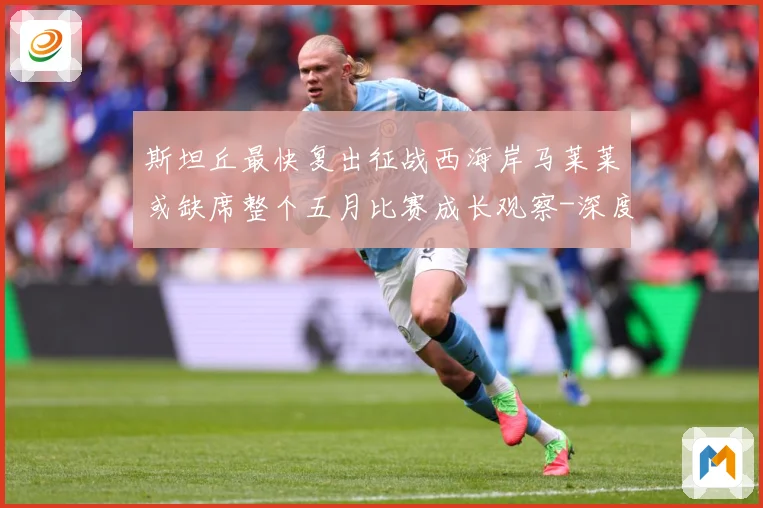 斯坦丘最快复出征战西海岸马莱莱或缺席整个五月比赛成长观察-深度解析