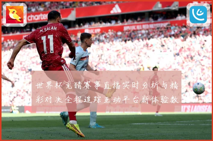 世界杯竞猜赛事直播实时分析与精彩对决全程追踪互动平台新体验数据研判-深度解析