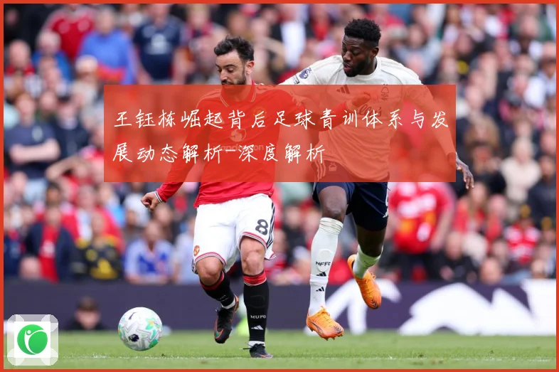王钰栋崛起背后足球青训体系与发展动态解析-深度解析